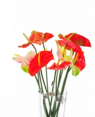 049 Veštačko cveće komadno